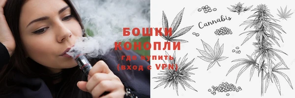 стафф Гусь-Хрустальный