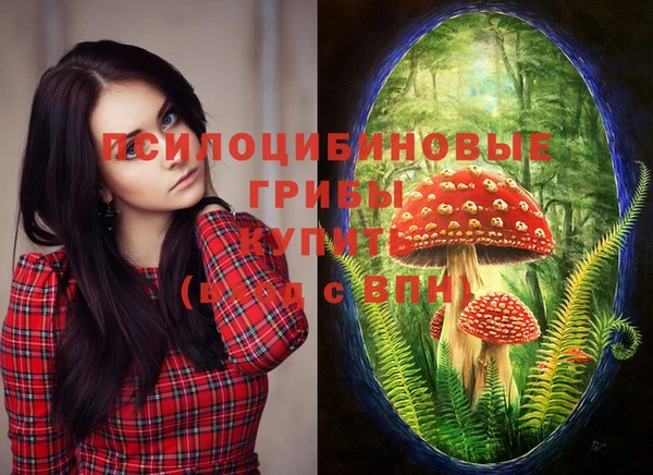 стафф Гусь-Хрустальный
