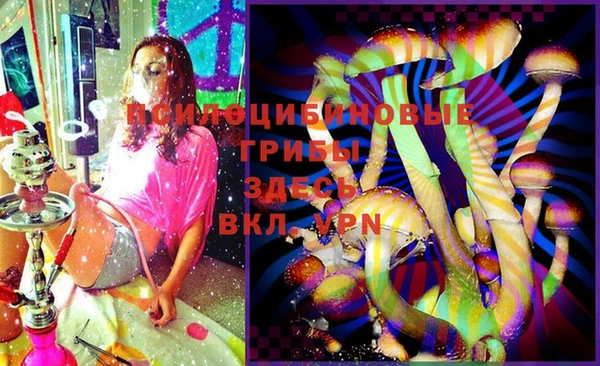 стафф Гусь-Хрустальный