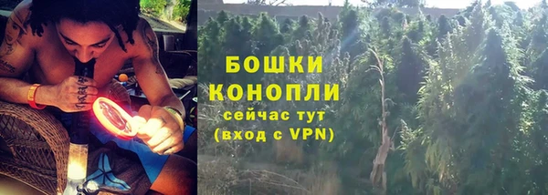 стафф Гусь-Хрустальный