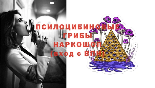 твердый Гусиноозёрск