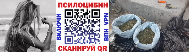 Псилоцибиновые грибы MAGIC MUSHROOMS  Купить закладки  Котельники 