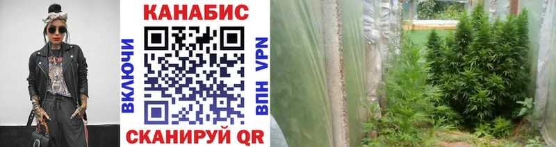 Шишки марихуана AK-47  Купить где  Котельники 